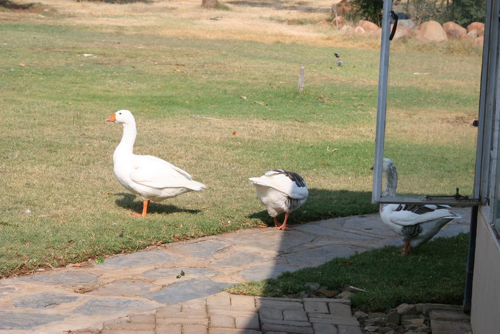 Akwela Guest Farm Hotel Bloemfontein Exterior foto
